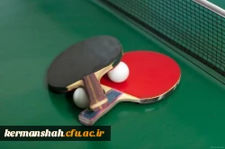 درخشش تیم اعزامی مدیریت استان در المپیاد ورزشی کارکنان واساتید 2