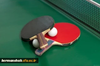 درخشش تیم اعزامی مدیریت استان در المپیاد ورزشی کارکنان واساتید