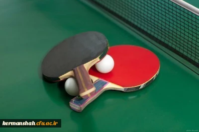 درخشش تیم اعزامی مدیریت استان در المپیاد ورزشی کارکنان واساتید