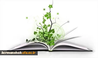 مسابقه کتابخوانی مزدوجین دانشجویی استان برگزار شد