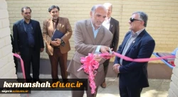 162927_2285719320_489_268