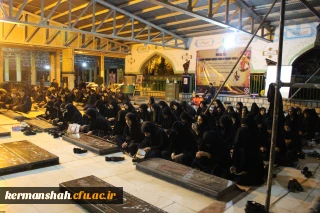 مراسم عزاداری حضرت علی اکبر(سلوک جوانی)