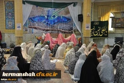 217326_3003410690_600_400