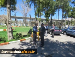 گزارش تصویری:
دیدار صمیمی مدیریت امور پردیس های استان کرمانشاه با کارکنان پردیس ها به مناسبت آغاز سال 1396 و تبریک سال جدید 11