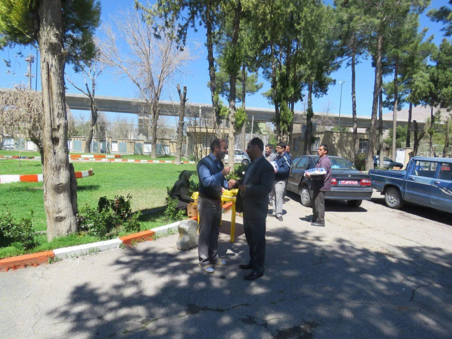 گزارش تصویری:
دیدار صمیمی مدیریت امور پردیس های استان کرمانشاه با کارکنان پردیس ها به مناسبت آغاز سال 1396 و تبریک سال جدید 11