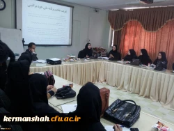 نشست دانشجویی سفیران سلامت 3