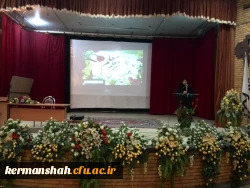 221836_3089755024_3264_2448