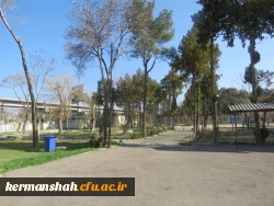 محوطه بسیار زیبای مرکز با درختهای سرو و کاج  چشم انداز بی نظیر را ایجاد کرده است.