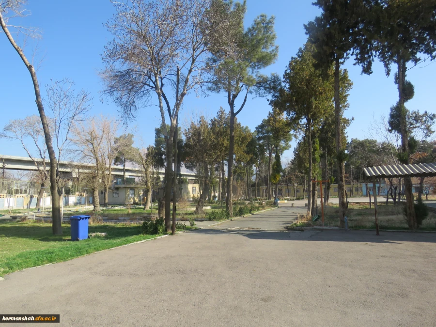 محوطه بسیار زیبای مرکز با درختهای سرو و کاج  چشم انداز بی نظیر را ایجاد کرده است.