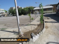 محوطه سازی و جدول کشی فضای آموزشی پردیس شهید رجایی