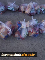 گزارش تصویری از کمک کرسانی دانشگاه فرهنگیان به زلزله زدگان 4