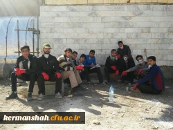 گزارش تصویری از کمک رسانی دانشگاه فرهنگیان به زلزله زدگان 17