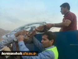 گزارش تصویری از کمک رسانی دانشگاه فرهنگیان به زلزله زدگان 60