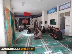 اولین جلسه هم اندیشی اساتید و نخبگان دانشگاه فرهنگیان استان کرمانشاه برگزار شد 9