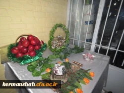 دانشجویان پردیس شهید صدوقی عازم کربلا شدند 3