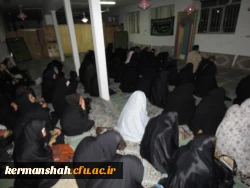 دانشجویان پردیس شهید صدوقی عازم کربلا شدند 6