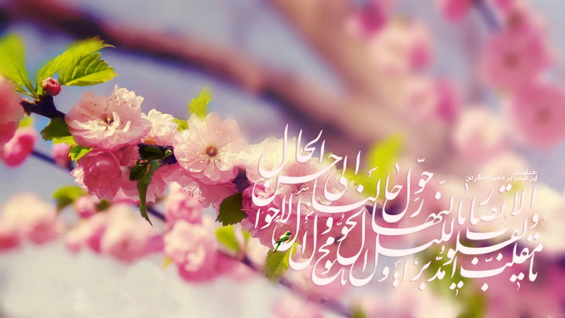 فرا رسیدن بهار طبیعت مبارک باد ! 2