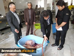 حضور معاونت محترم اداره کل برنامه ریزی خدمات و رفاه دانشجویی در استان 9