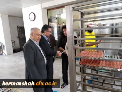 حضور معاونت محترم اداره کل برنامه ریزی خدمات و رفاه دانشجویی در استان 10