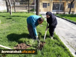 برنامه بزرگداشت هفته منابع طبیعی و روز درخت کاری در پردیس شهید صدوقی برگزار گردید 3
