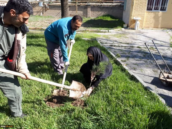برنامه بزرگداشت هفته منابع طبیعی و روز درخت کاری در پردیس شهید صدوقی برگزار گردید 5