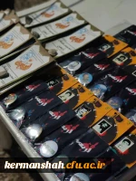 گزارش فعالیتهای موکب پردیس شهید صدوقی  7