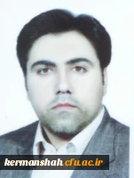 فرزاد امیری