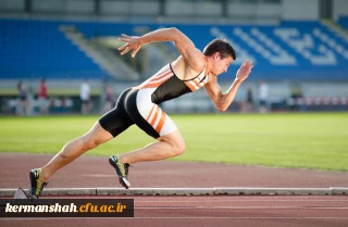 گرامیداشت هفته تربیت بدنی

آیین نامه فنی و اجرایی مسابقات مجازی آمادگی جسمانی دانشگاه فرهنگیان