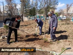  مراسم روز درختکاری در دانشگاه فرهنگیان کرمانشاه برگزار شد. 3