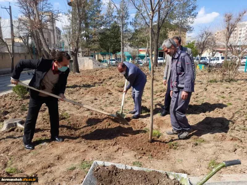  مراسم روز درختکاری در دانشگاه فرهنگیان کرمانشاه برگزار شد. 3