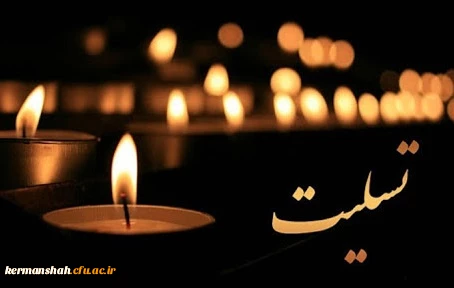 پیام تسلیت دکتر مجید محمدی بمناسبت درگذشت نابهنگام دو تن از دانشجویان پردیس شهید رجایی 2