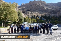 624406_2426630078_1500_1002