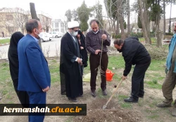 کاشت نهال در پردیس های دانشگاه فرهنگیان استان کرمانشاه  2