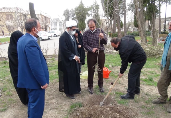 کاشت نهال در پردیس های دانشگاه فرهنگیان استان کرمانشاه  2