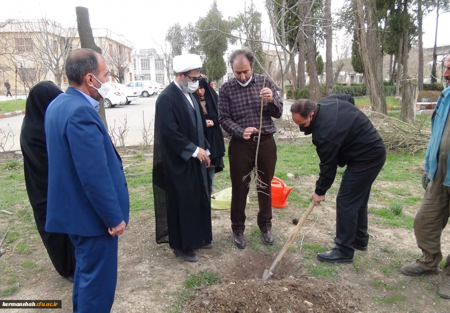 کاشت نهال در پردیس های دانشگاه فرهنگیان استان کرمانشاه  2