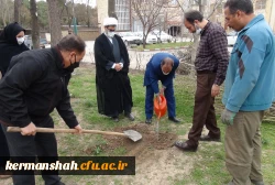 کاشت نهال در پردیس های دانشگاه فرهنگیان استان کرمانشاه  4