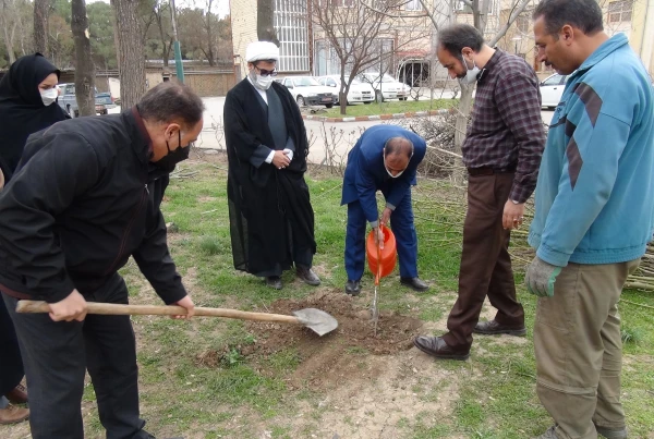 کاشت نهال در پردیس های دانشگاه فرهنگیان استان کرمانشاه  4