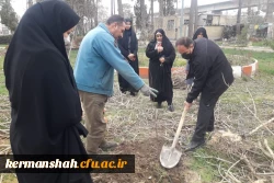 کاشت نهال در پردیس های دانشگاه فرهنگیان استان کرمانشاه  5