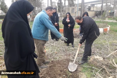 به مناسبت روز درخت کاری برگزار شد:

کاشت نهال در پردیس های دانشگاه فرهنگیان استان کرمانشاه 