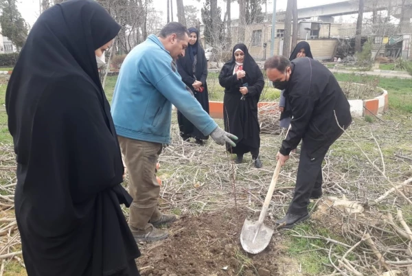 کاشت نهال در پردیس های دانشگاه فرهنگیان استان کرمانشاه  5