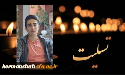 پیام تسلیت مدیر امور پردیس های استان در پی درگذشت دانشجو معلم پردیس شهید رجایی 2