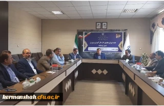 دکتر محمدی در جلسه شورای معاونین اداره کل آموزش و پرورش استان کرمانشاه:

ارتباط میان دستگاه تعلیم و تربیت و دانشگاه فرهنگیان باید مستحکم و پایدار باشد.