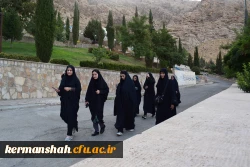 همایش  پیاده روی کارکنان، اساتید و دانشجویان  دانشگاه فرهنگیان 5