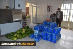 موکب شهدای تربیت معلم دانشگاه فرهنگیان کرمانشاه درمسیر کربلای معلی 7