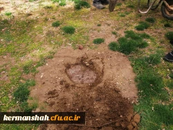 مراسم درختکاری به یاد شهدای دانشجو معلم مرکز 4