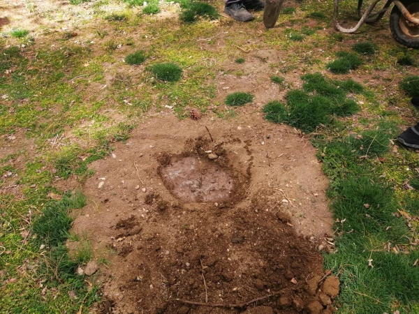 مراسم درختکاری به یاد شهدای دانشجو معلم مرکز 4