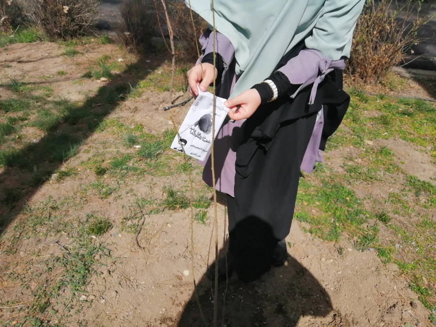 مراسم درختکاری به یاد شهدای دانشجو معلم مرکز 6