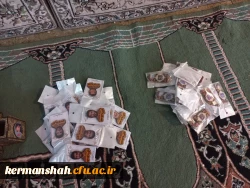 اعزام دانشجومعلمان دختر پردیس شهید صدوقی به اردوی راهیان نور 5