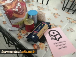 پویش بهار مهربانی (جمع آوری کمک های مومنانه و تهیه  بسته های معیشتی) 2