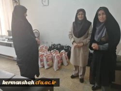 پویش بهار مهربانی (جمع آوری کمک های مومنانه و تهیه  بسته های معیشتی) 3